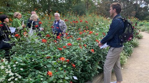 7 jurys, pros et grand public, ont départagé 80 nouveautés de dahlia pour le concours international 2022. ©O. Maillard